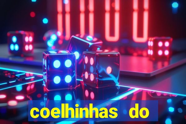 coelhinhas do brasil recife